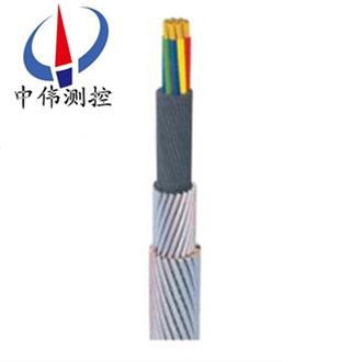 承荷探測(ce)電(dian)纜