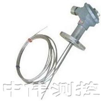 多(duo)點防爆熱電偶