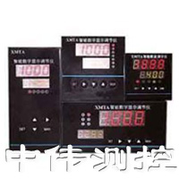 智能數字顯示調節儀(yi)
