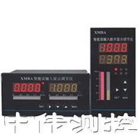 智能雙輸(shu)入顯示調節儀